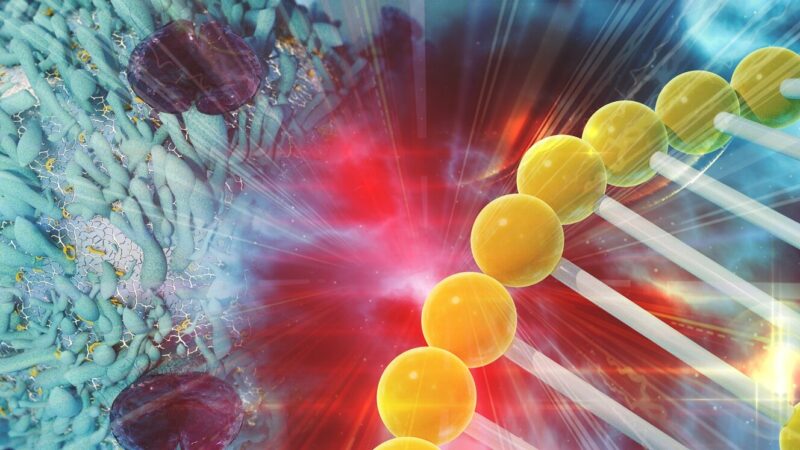 Gene,Therapy,For,Cancer,Treatment,Concept,Cancer,Therapy,With,T-cell