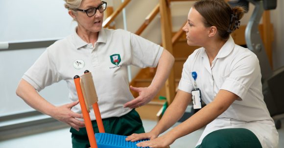 Paediatric occupational therapist training a support AHP
