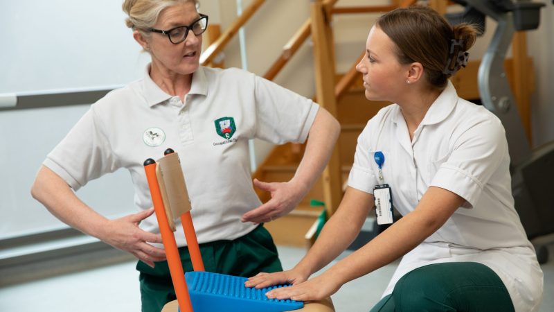 Paediatric occupational therapist training a support AHP