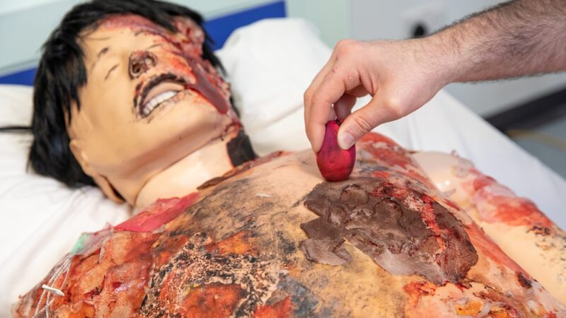 Moulage training in simulation centre